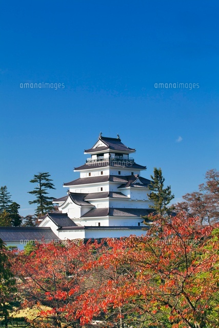 秋の鶴ヶ城
(c)YOSHITSUGU NISHIGAKI/SEBUN PHOTO