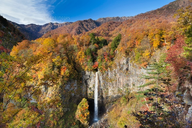 秋の白水滝
(c)YOSHITSUGU NISHIGAKI/SEBUN PHOTO