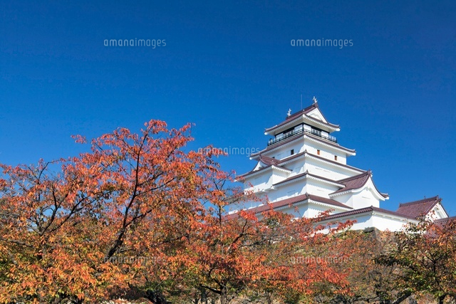 秋の鶴ヶ城
(c)YOSHITSUGU NISHIGAKI/SEBUN PHOTO
