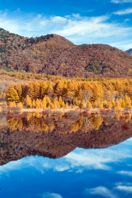 紅葉の小田代原
(c)YOSHITSUGU NISHIGAKI/SEBUN PHOTO