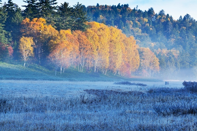 朝の大江川湿原と紅葉
(c)YOSHITSUGU NISHIGAKI/SEBUN PHOTO