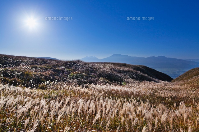 朝のススキと阿蘇山
(c)YOSHITSUGU NISHIGAKI/SEBUN PHOTO
