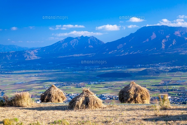秋のススキと阿蘇山
(c)YOSHITSUGU NISHIGAKI/SEBUN PHOTO