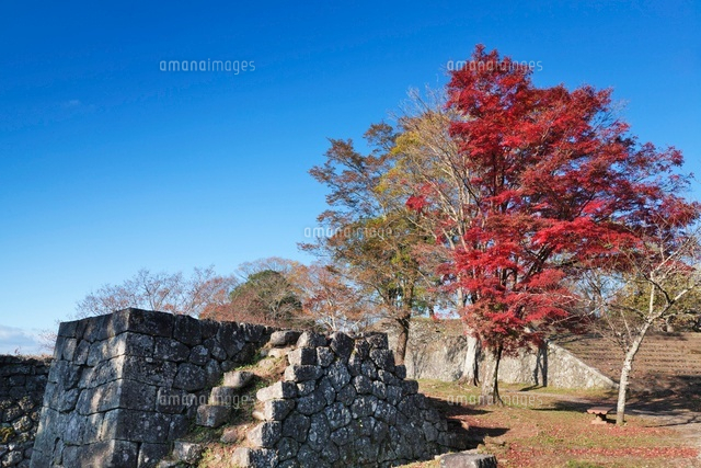 秋の岡城跡
(c)YOSHITSUGU NISHIGAKI/SEBUN PHOTO