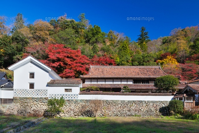 秋の堀庭園
(c)YOSHITSUGU NISHIGAKI/SEBUN PHOTO