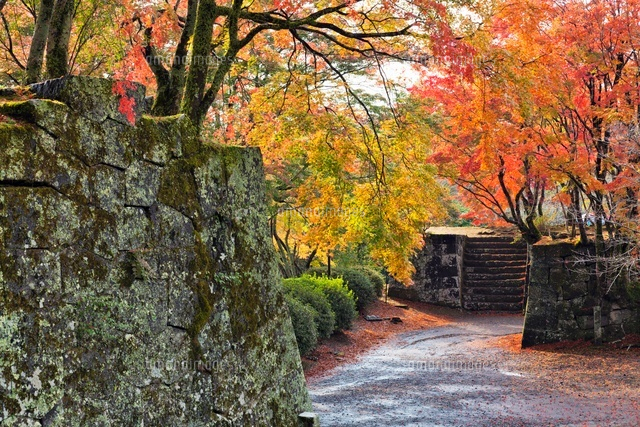 秋の岡城跡
(c)YOSHITSUGU NISHIGAKI/SEBUN PHOTO