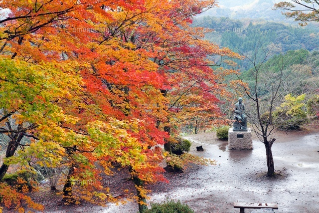 秋の岡城跡と滝廉太郎の像
(c)YOSHITSUGU NISHIGAKI/SEBUN PHOTO