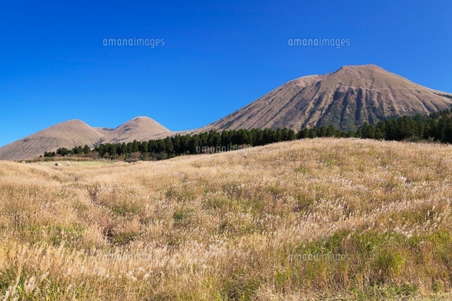 秋のススキと阿蘇山.杵島岳と往生岳
(c)YOSHITSUGU NISHIGAKI/SEBUN PHOTO
