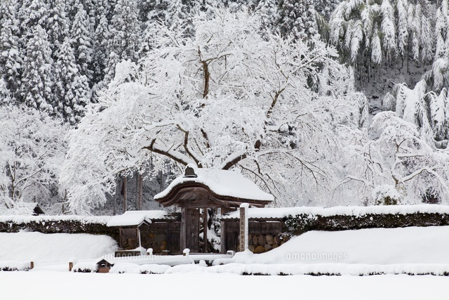 雪の一乗谷朝倉氏遺跡
(c)YOSHITSUGU NISHIGAKI/SEBUN PHOTO