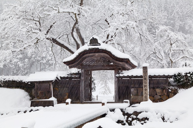雪の一乗谷朝倉氏遺跡
(c)YOSHITSUGU NISHIGAKI/SEBUN PHOTO