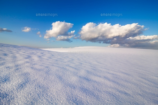 雪の鳥取砂丘
(c)YOSHITSUGU NISHIGAKI/SEBUN PHOTO