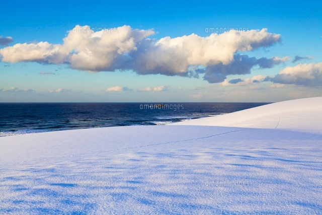 雪の鳥取砂丘
(c)YOSHITSUGU NISHIGAKI/SEBUN PHOTO