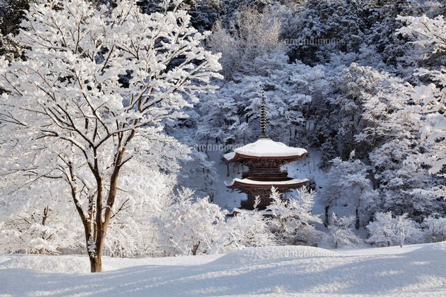 雪の金剛院三重塔
(c)YOSHITSUGU NISHIGAKI/SEBUN PHOTO