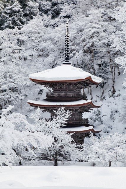 雪の金剛院三重塔
(c)YOSHITSUGU NISHIGAKI/SEBUN PHOTO
