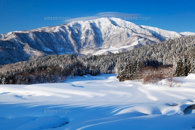 雪の氷ノ山
(c)YOSHITSUGU NISHIGAKI/SEBUN PHOTO