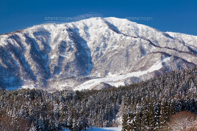 雪の氷ノ山
(c)YOSHITSUGU NISHIGAKI/SEBUN PHOTO