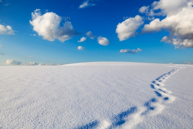 雪の鳥取砂丘
(c)YOSHITSUGU NISHIGAKI/SEBUN PHOTO