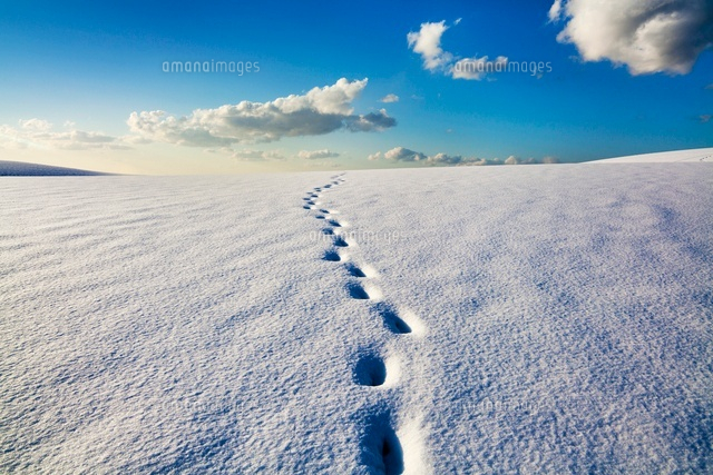 雪の鳥取砂丘
(c)YOSHITSUGU NISHIGAKI/SEBUN PHOTO