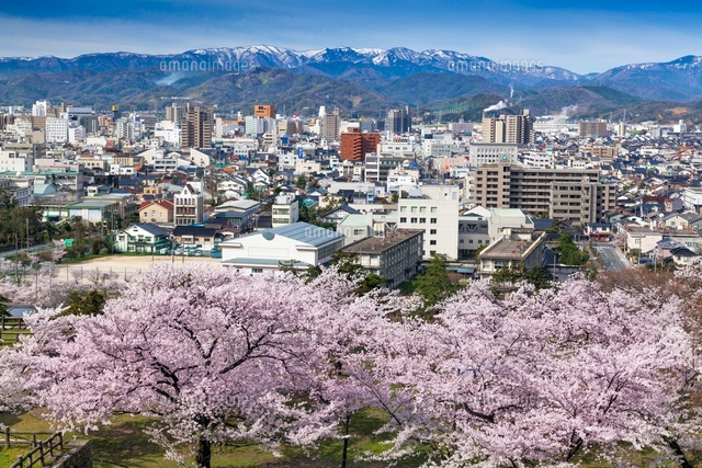 桜咲く鳥取城跡より鳥取市街
(c)YOSHITSUGU NISHIGAKI/SEBUN PHOTO