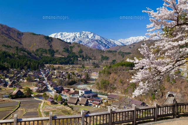 桜咲く白川郷と白山
(c)YOSHITSUGU NISHIGAKI/SEBUN PHOTO