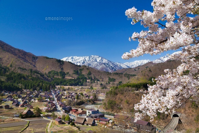 桜咲く白川郷と白山
(c)YOSHITSUGU NISHIGAKI/SEBUN PHOTO