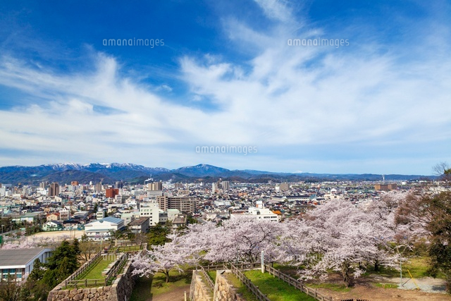 桜咲く鳥取城跡より鳥取市街
(c)YOSHITSUGU NISHIGAKI/SEBUN PHOTO