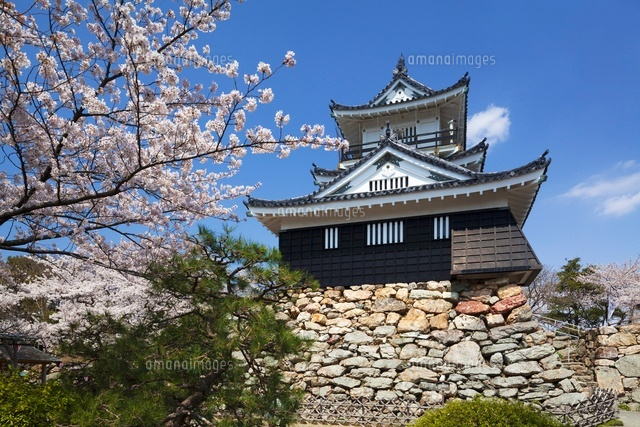 桜咲く浜松城
(c)YOSHITSUGU NISHIGAKI/SEBUN PHOTO
