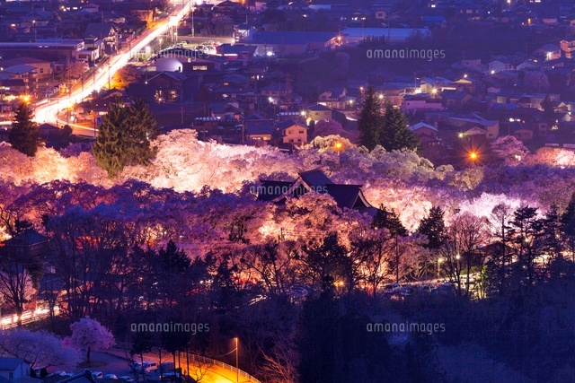 桜咲く高遠城址公園の夜景
(c)YOSHITSUGU NISHIGAKI/SEBUN PHOTO