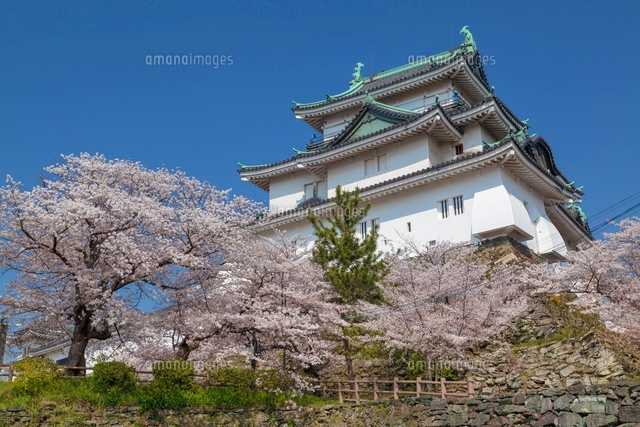 桜咲く和歌山城
(c)YOSHITSUGU NISHIGAKI/SEBUN PHOTO