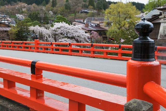 桜咲く宮川と中橋
(c)YOSHITSUGU NISHIGAKI/SEBUN PHOTO