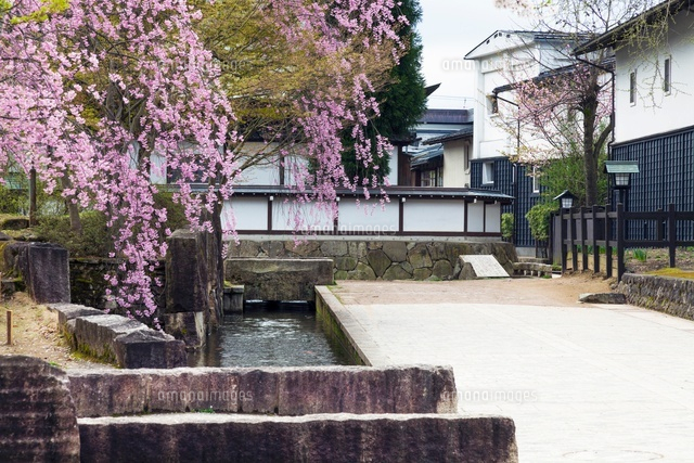 桜咲く飛騨古川の町並み
(c)YOSHITSUGU NISHIGAKI/SEBUN PHOTO