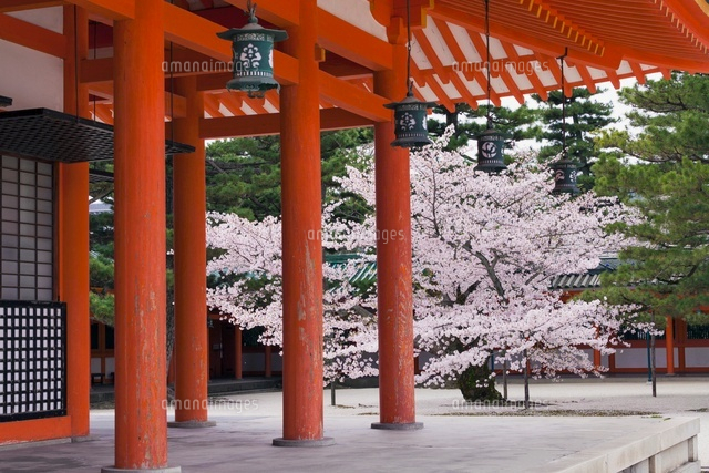 桜咲く平安神宮
(c)YOSHITSUGU NISHIGAKI/SEBUN PHOTO