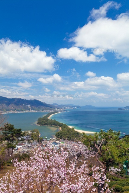 桜咲く天橋立
(c)YOSHITSUGU NISHIGAKI/SEBUN PHOTO