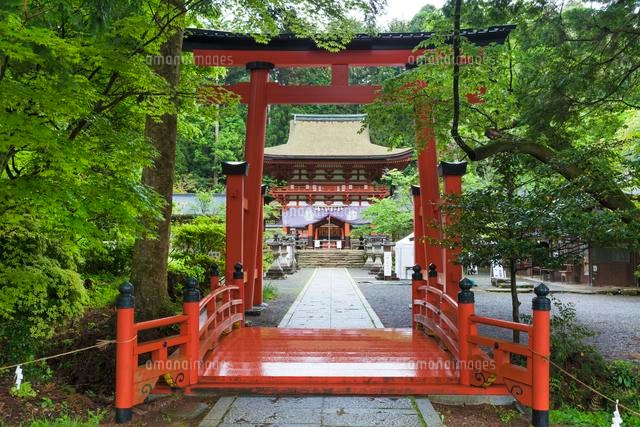 丹生都比売神社 楼門
(c)YOSHITSUGU NISHIGAKI/SEBUN PHOTO