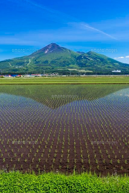 田園と磐梯山
(c)YOSHITSUGU NISHIGAKI/SEBUN PHOTO