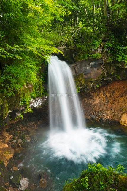 新緑の一の滝
(c)YOSHITSUGU NISHIGAKI/SEBUN PHOTO