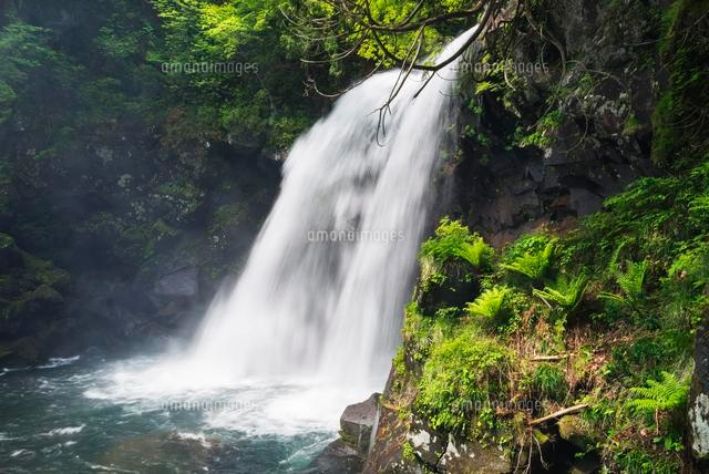 新緑の二の滝
(c)YOSHITSUGU NISHIGAKI/SEBUN PHOTO