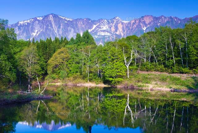 秋山郷 天池と鳥甲山
(c)YOSHITSUGU NISHIGAKI/SEBUN PHOTO