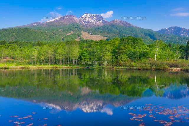 いもり池と妙高山
(c)YOSHITSUGU NISHIGAKI/SEBUN PHOTO