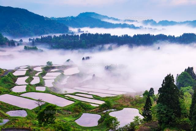 朝の雲海と星峠の棚田
(c)YOSHITSUGU NISHIGAKI/SEBUN PHOTO