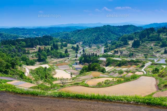 星峠の棚田
(c)YOSHITSUGU NISHIGAKI/SEBUN PHOTO