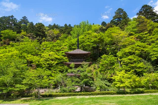 金剛院三重塔
(c)YOSHITSUGU NISHIGAKI/SEBUN PHOTO