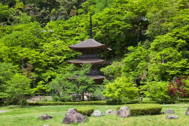 金剛院三重塔
(c)YOSHITSUGU NISHIGAKI/SEBUN PHOTO