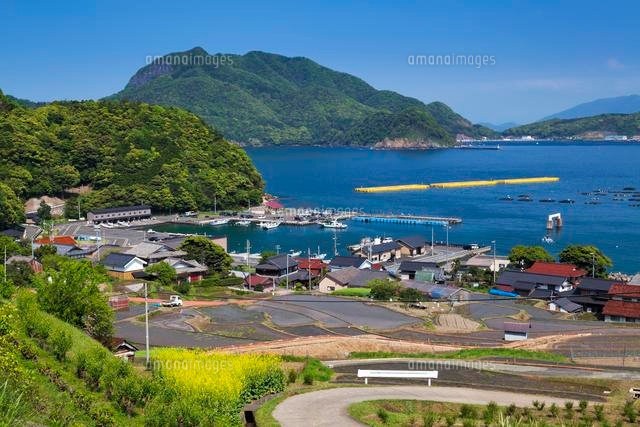 日引の棚田と若狭湾
(c)YOSHITSUGU NISHIGAKI/SEBUN PHOTO