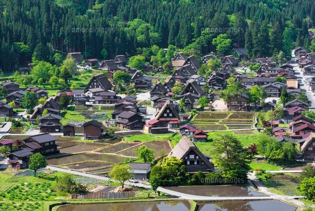 白川郷
(c)YOSHITSUGU NISHIGAKI/SEBUN PHOTO