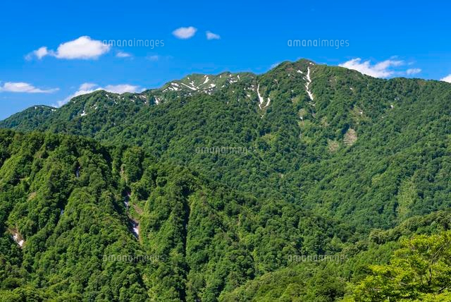 向白神山と双耳峰 白神山地
(c)YOSHITSUGU NISHIGAKI/SEBUN PHOTO