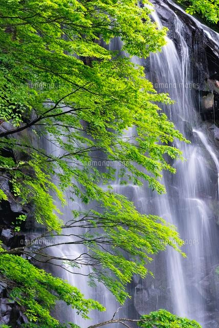 立又渓谷 一ノ滝
(c)YOSHITSUGU NISHIGAKI/SEBUN PHOTO