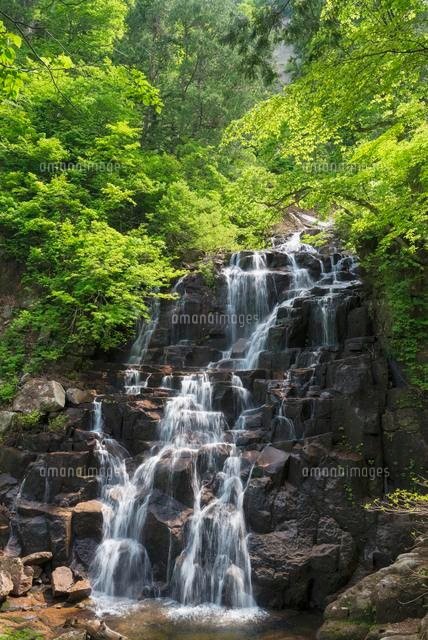 立又渓谷 二ノ滝
(c)YOSHITSUGU NISHIGAKI/SEBUN PHOTO