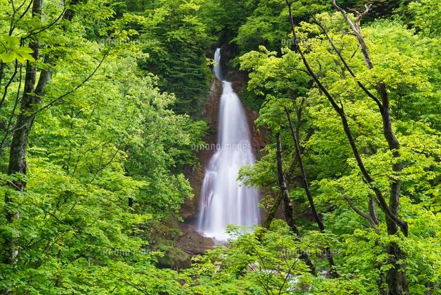七滝
(c)YOSHITSUGU NISHIGAKI/SEBUN PHOTO