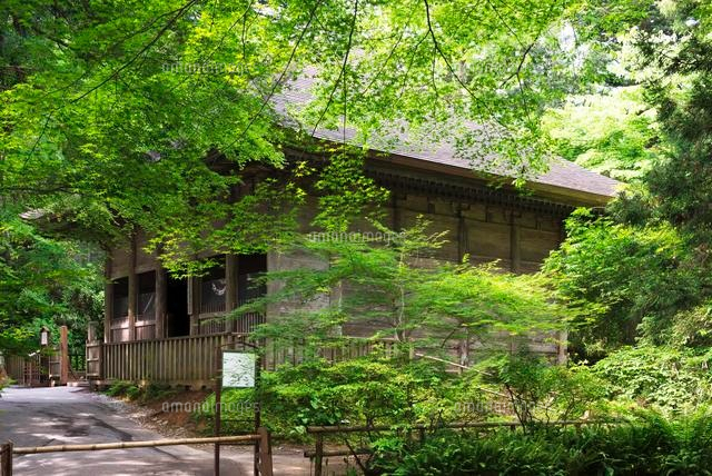 中尊寺 旧覆堂
(c)YOSHITSUGU NISHIGAKI/SEBUN PHOTO